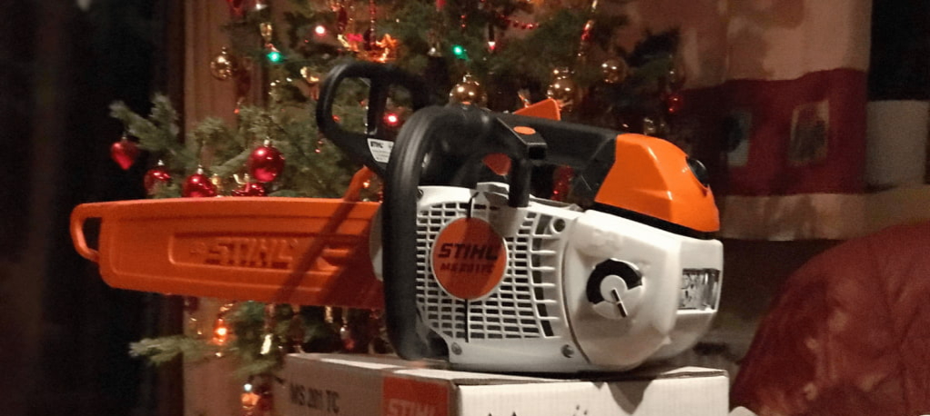 Fiatal nyírfa kivágása Biatorbágy