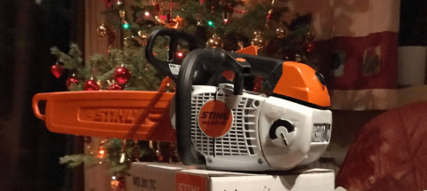 Fiatal nyírfa kivágása Biatorbágy