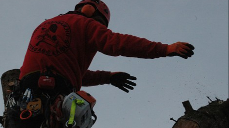 Fakivágás Gyermely