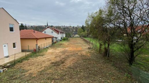 Cserje és bozótirtás Budakalász (Előtte-utána)