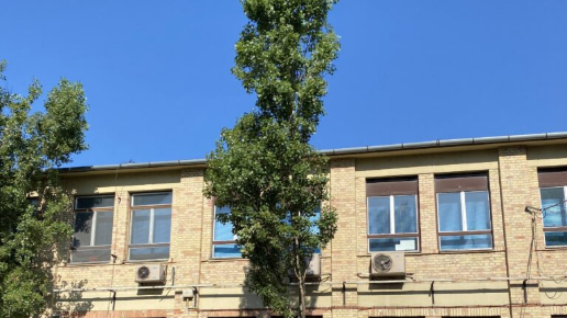 Fakivágás, gallyazás Budapest 21. kerület (Stakotra Kft, Csepeli gyártelep)