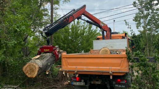 Veszély fakivágás irányított döntéssel Budapest 3. kerület