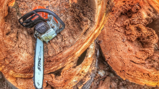 Fakivágás Budapest környékén (MÁV)