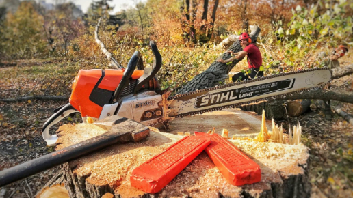 Területtisztítás Oroszlány