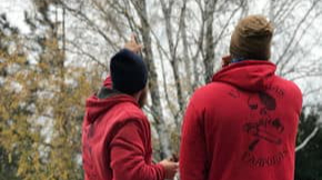 Fakivágás, faápolás Érden