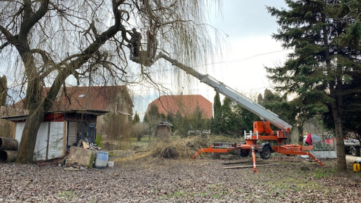 Fakivágás Kosaras Emelővel Pilisvörösvár