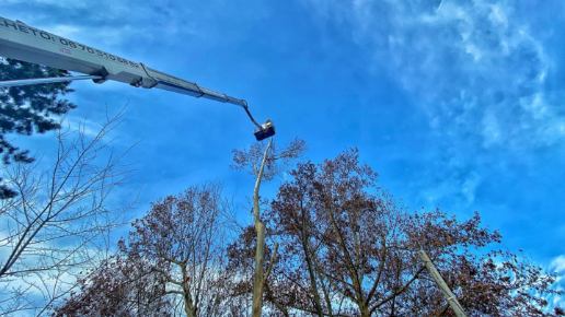 Fakivágás Kosaras Emelővel Törökbálint