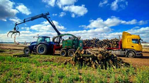 Ipari területtisztítás, fakitermelés, gallyaprítás (Hello Parks Maglód)