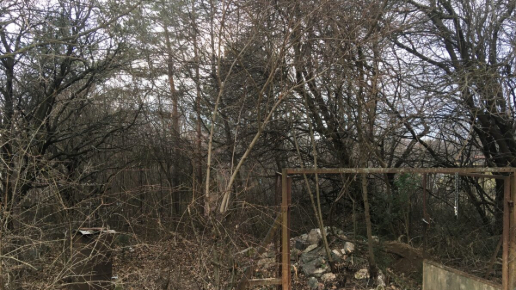 Kézi Bozótirtás Budakeszin