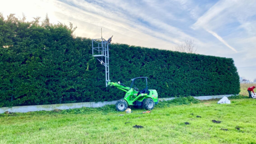 Sövénynyírás Tatabánya