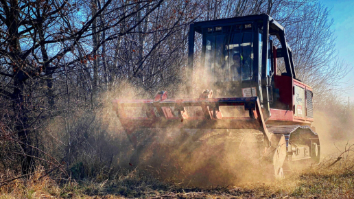 Erdészeti szárzúzás Kecskemét