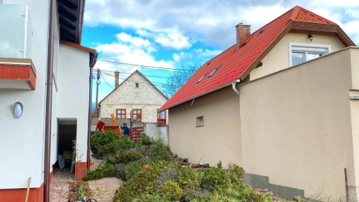 Fakivágás, telektisztítás Biatorbágy