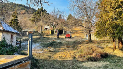 Cserje és bozótirtás Budaörs (Előtte-utána)