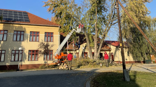 Fakivágás: Gyermelyi Általános Iskola