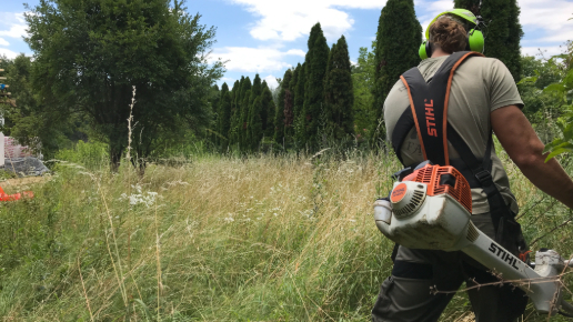 Damilos fűkaszálás