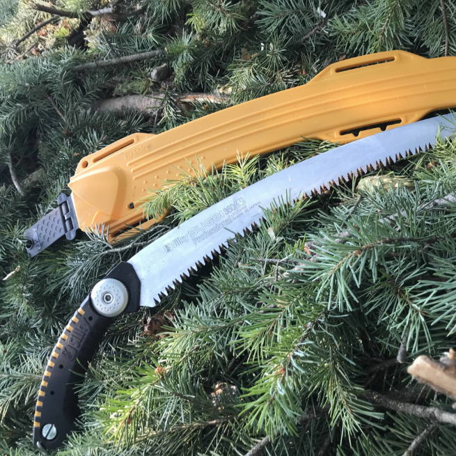 Faápolás / Gallyazás