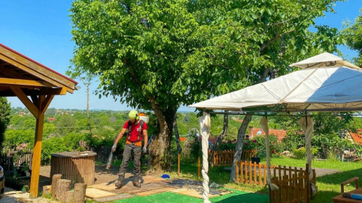 Faápolás, gallyazás Páty