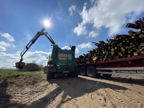 Ágdarálás Maglód