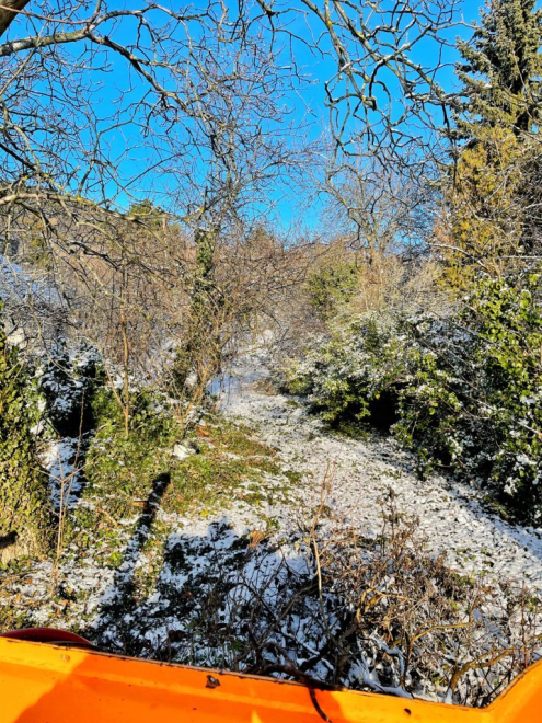 Bozótirtás Budaörs