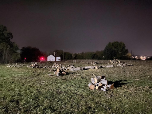 Bozótirtás Budapest