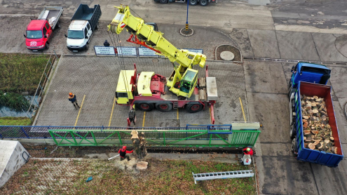 Darus Fakivágás Budapest