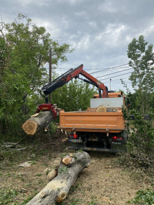 Fakivágás Békásmegyer