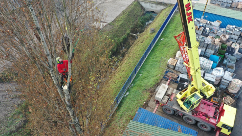 Fakivágás alpintechnikával Budapest