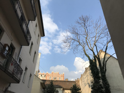 Fakivágás Ára Budapest