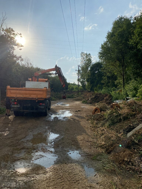 Faanyag elszállítása