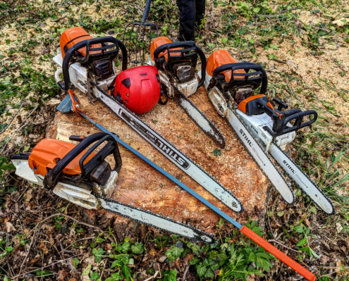 Fakivágás Budapest 14. kerület