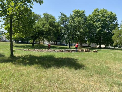 Fakivágás Budapest 15. kerület