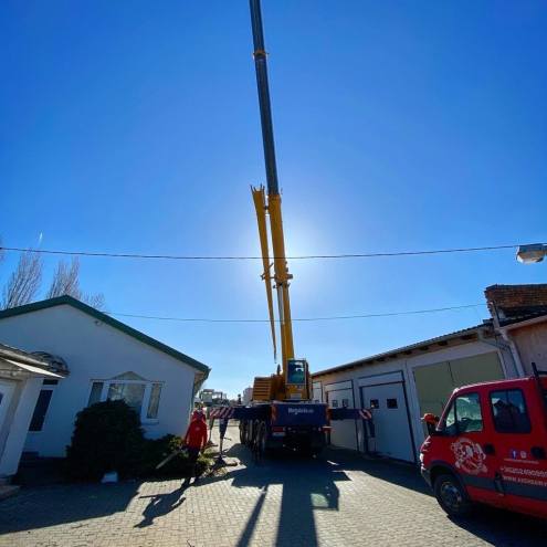 Fakivágás daruzással