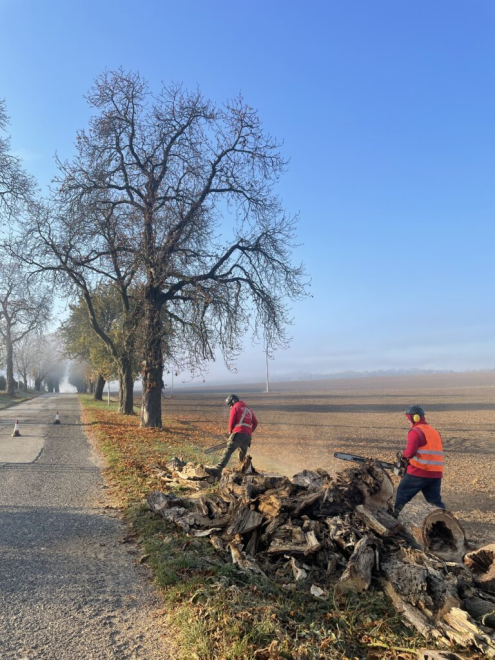 Fakivagas Gyarmatpuszta