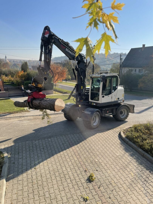 Fakivágás gyermely