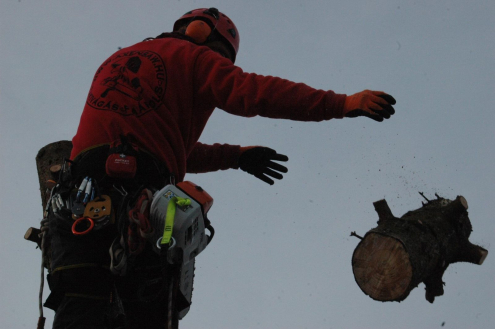 Fakivágás Gyermely