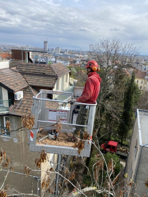 Fakivágás kosaras emelővel