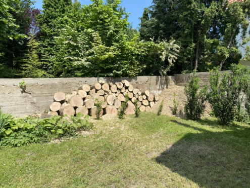 Fakivágás Kosaras Emelővel Budakeszi