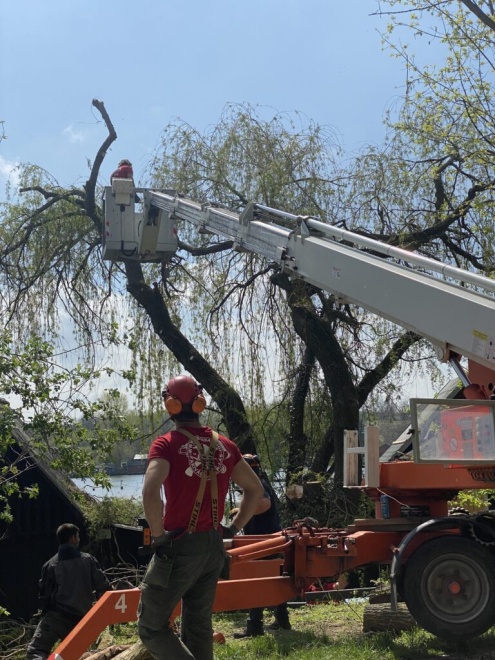 Fakivágás Kosaras Emelővel Tatabánya