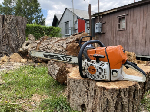 Fakivágás Láncfűrésszel Tatabánya