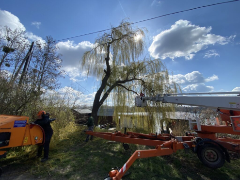 Fakivágás Tatabánya közelében