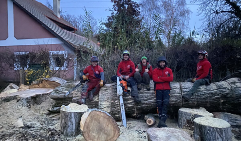 Fakivágás Veszprém