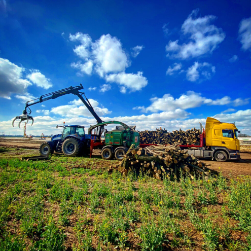 Faszállítás Maglód