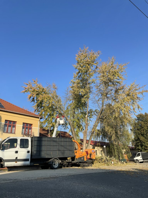 Favágás Gyermely Iskola