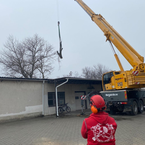 Favágás Székesfehérváron