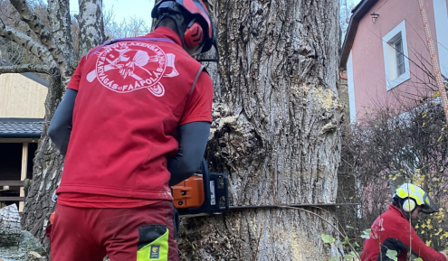 Favágás Veszprém