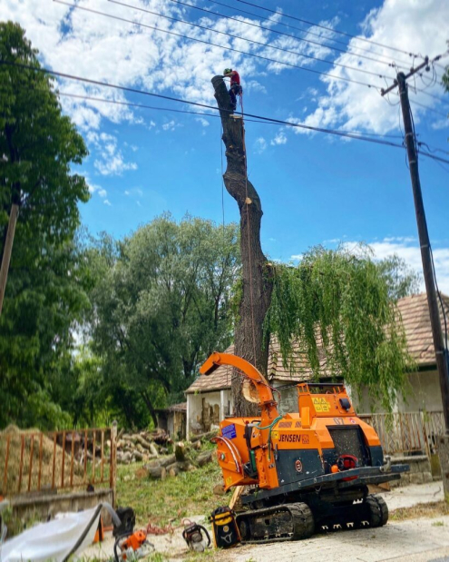 Gallyaprítás Alcsútdoboz