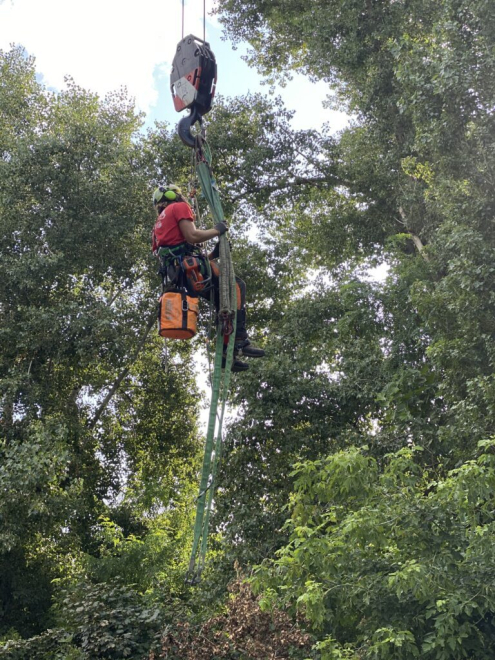 Gallyaprítás Budapest 21. kerület