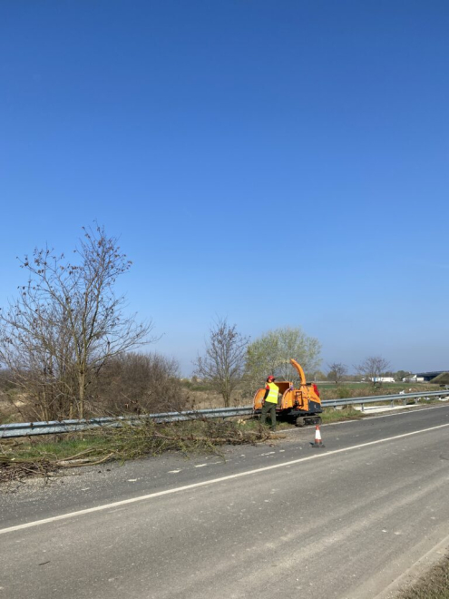 Gallyaprítás Maglód