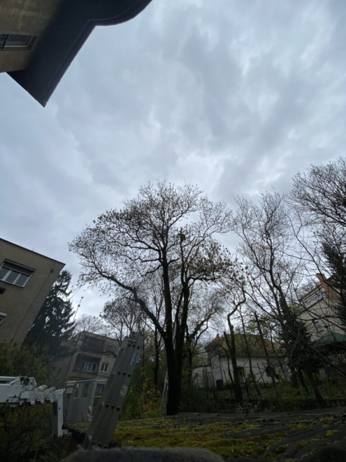 Gallyazás alpintechnikával Budapest