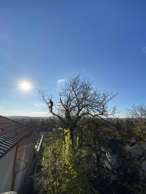 Gallyazás árak